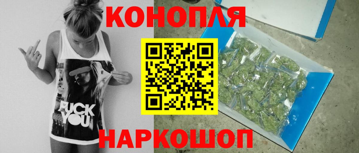 Каннабис сатива Саянск